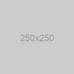 User Profile